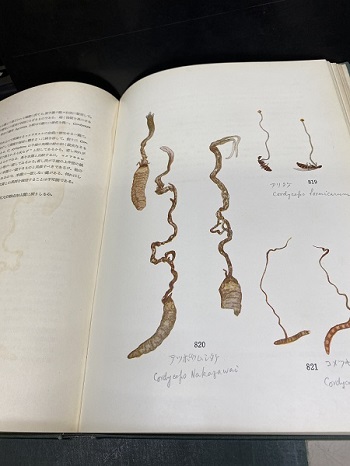 明倫館書店 / 原色日本菌類図鑑 全8巻