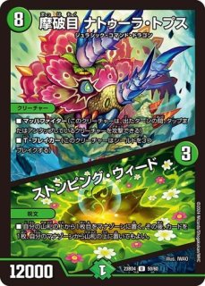 ボルシャック栄光ルピア/【レインボー】《23BD4 60/60》 ぼるしゃっく