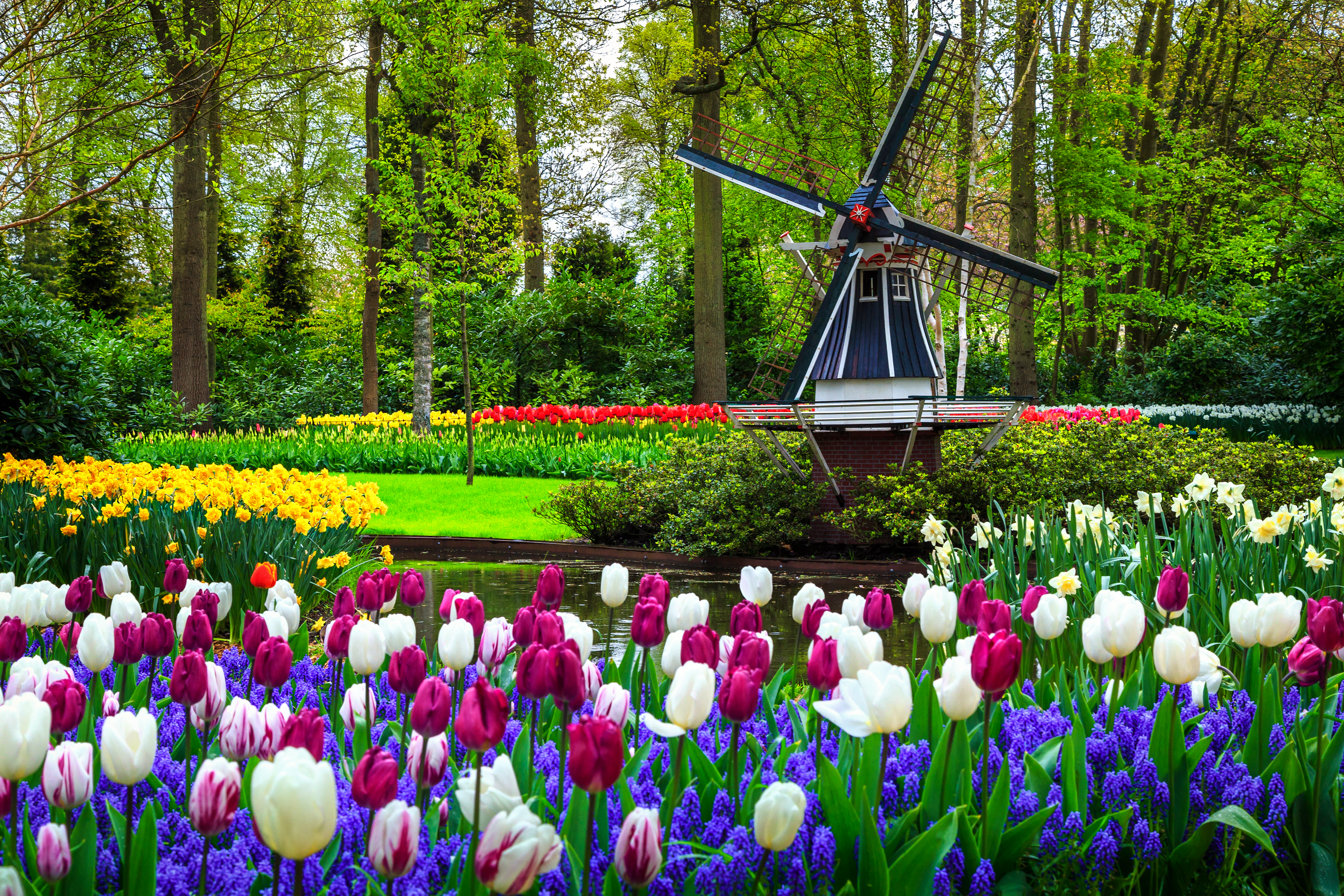 5 of the world's most beautiful gardens to visit virtually