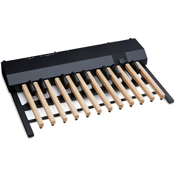 Hammond(ハモンド) ／ XPK-200GL - MIDIサウンドペダルボード ／ 足