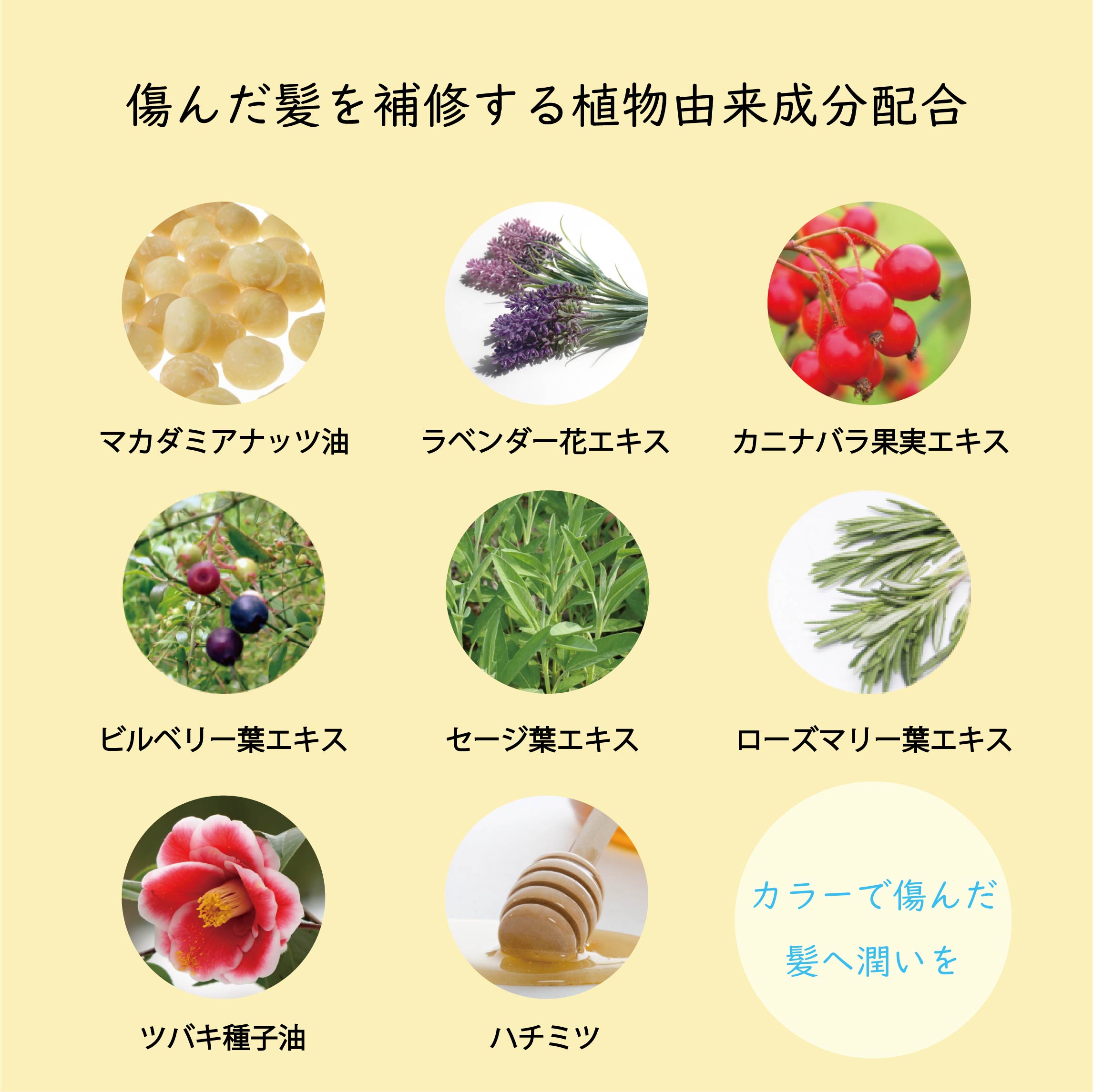 コロレプリュストリートメント 200g: ヘアケア｜モッズ・ヘア公式通販