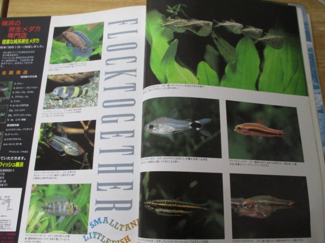 雑誌『月刊アクアライフ』をお譲りして頂きました。｜古本買取