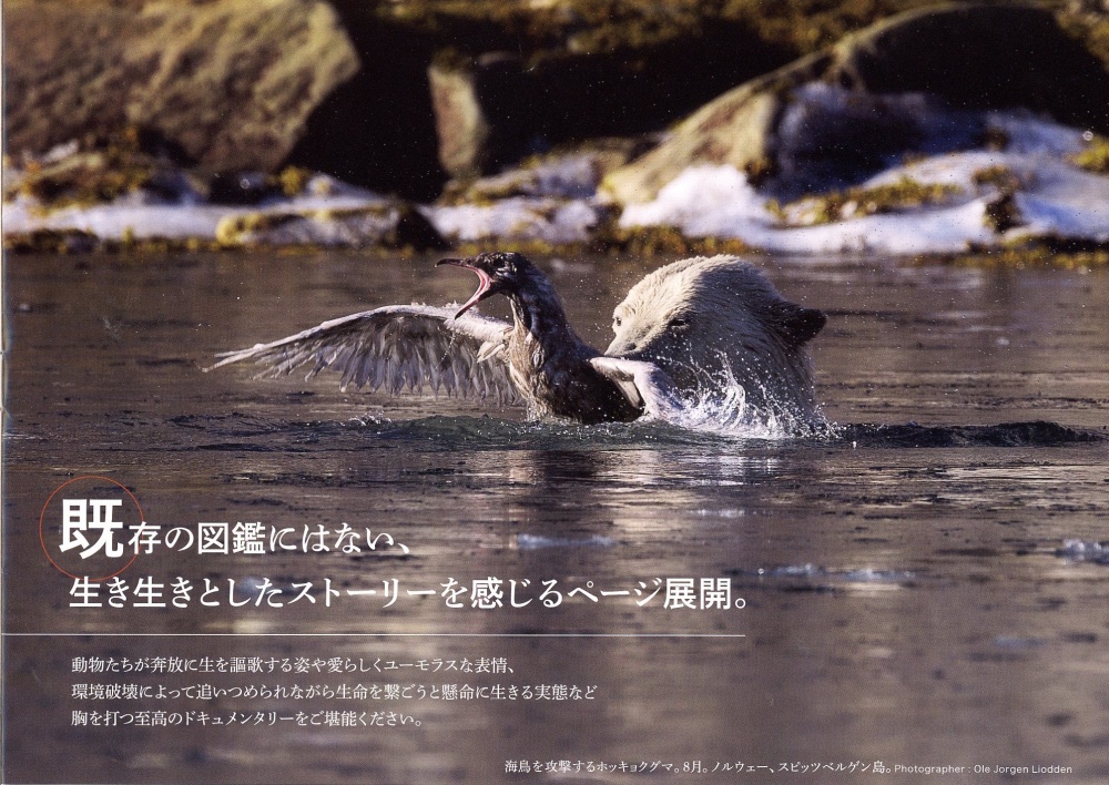 世界の動物遺産 世界編・日本編」 好評発売中 | スタッフTopics | 本