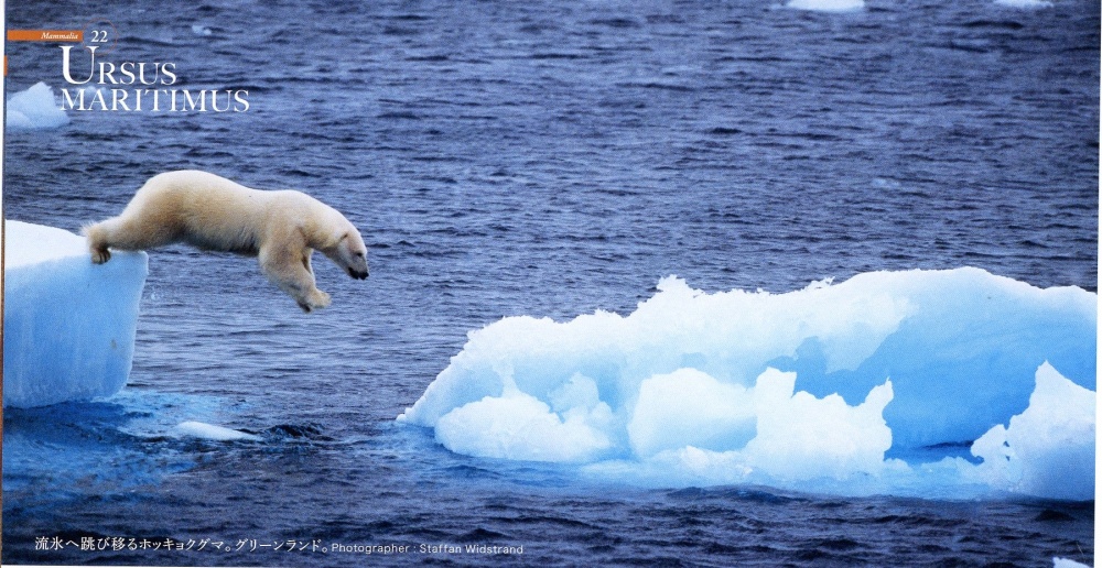 世界の動物遺産 世界編・日本編」 好評発売中 | スタッフTopics | 本