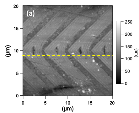 ナノテクスチャリングによる低摩擦化、摩擦制御技術に関する研究紹介