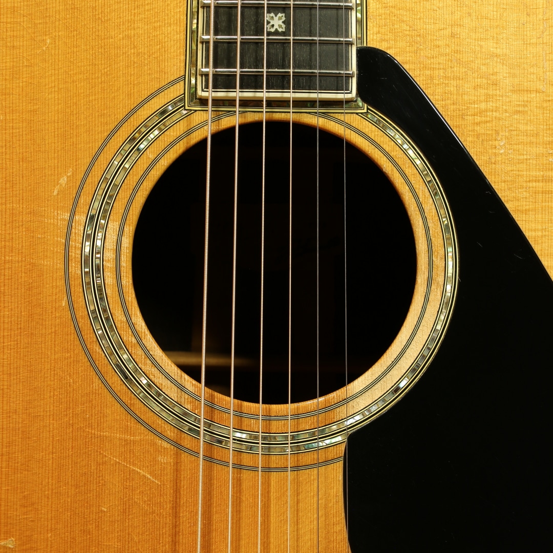 L-55 Jacaranda 1980: アコースティックギター｜三木楽器公式通販サイト