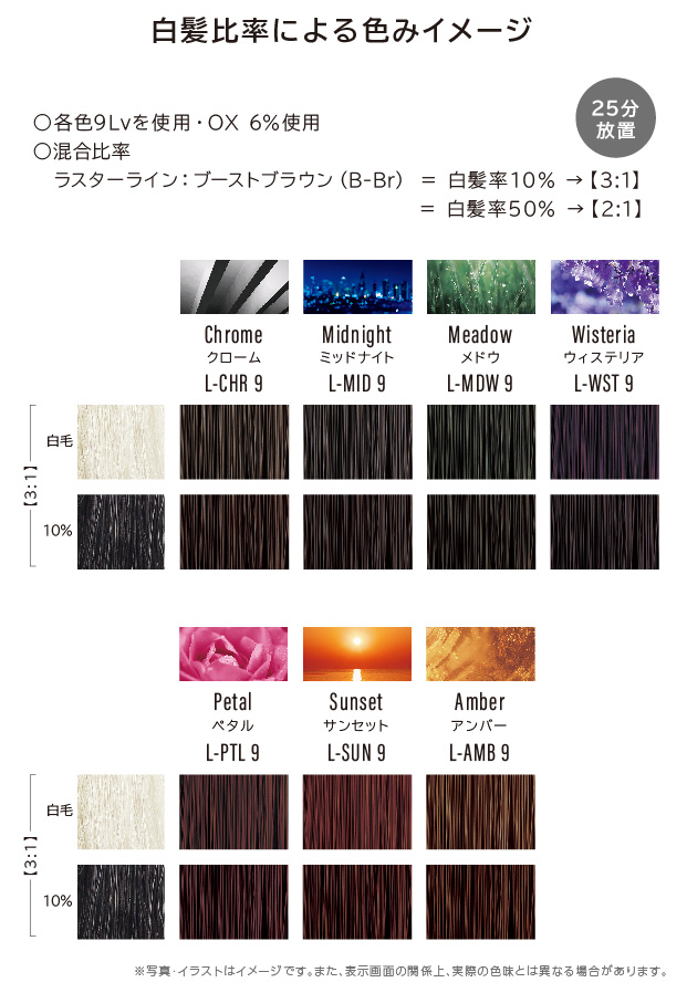 sheertne HOW TO ブーストブラウン | ミアンビューティー（三口産業