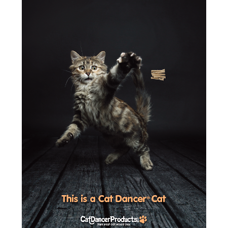 プラッツ キャットダンサー 【初回送料無料】｜みんなのペット健康専門店