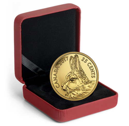 151390_pkg-1198.png?hash=