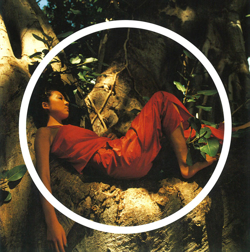 Mother Father Brother Sister | DISCOGRAPHY | 【公式】MISIA | MISIA