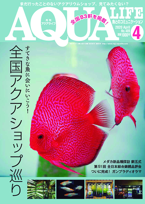AQUA LIFE 2020年5月号・11月号 アクアライフ 12月号 (発売