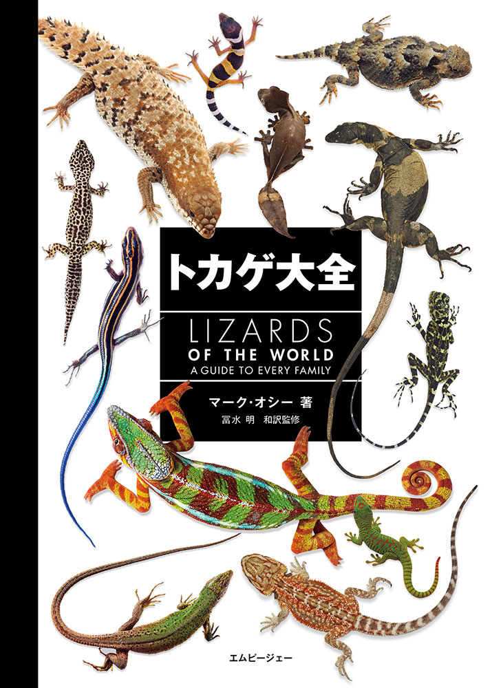 トカゲ大全 LIZARDS OF THE WORLD ｜ エムピージェー