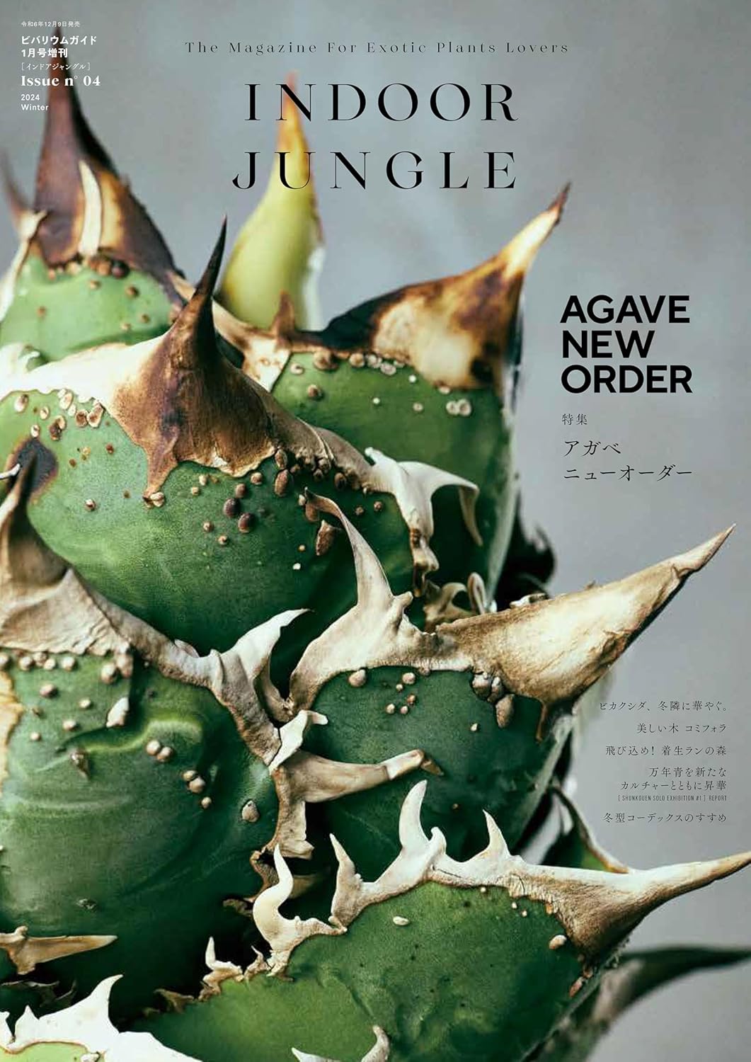 INDOOR JUNGLE Issue.06 ｜ エムピージェー