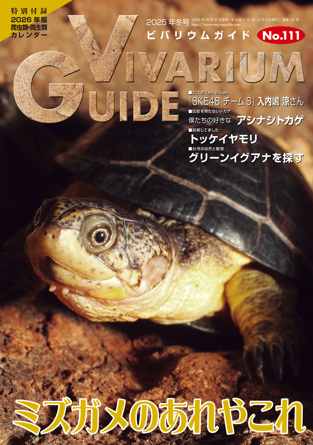 ビバリウムガイド」の記事一覧 ｜ エムピージェー