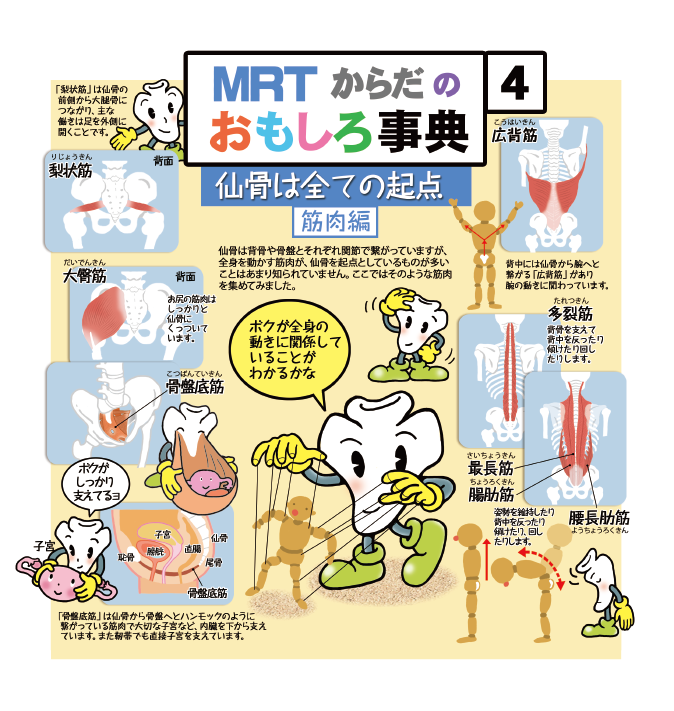 仙骨とは？|【仙骨無痛療法】のパイオニア|仙骨専門治療院MRT