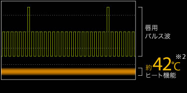 LIPLU（リップル） | BRANDS（ブランド一覧） | 株式会社MTG