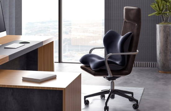 姿勢 骨盤 テレワーク】スタイルスマート（Style SMART） | MTG ONLINESHOP