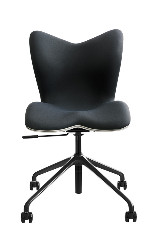 S字姿勢 腰の負担軽減】Style健康Chair | Style 公式通販 | MTG