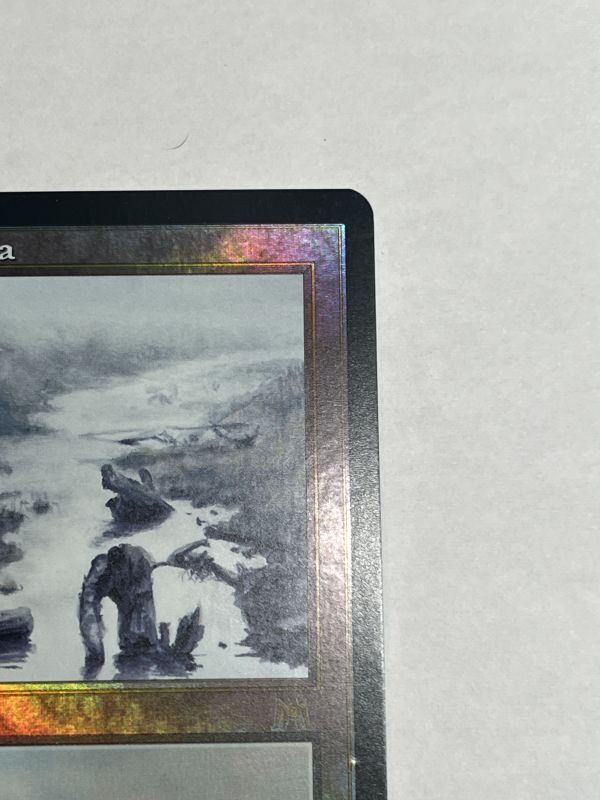 Foil】《汚染された三角州/Polluted Delta》[ONS] - MTG専門店 Initiative