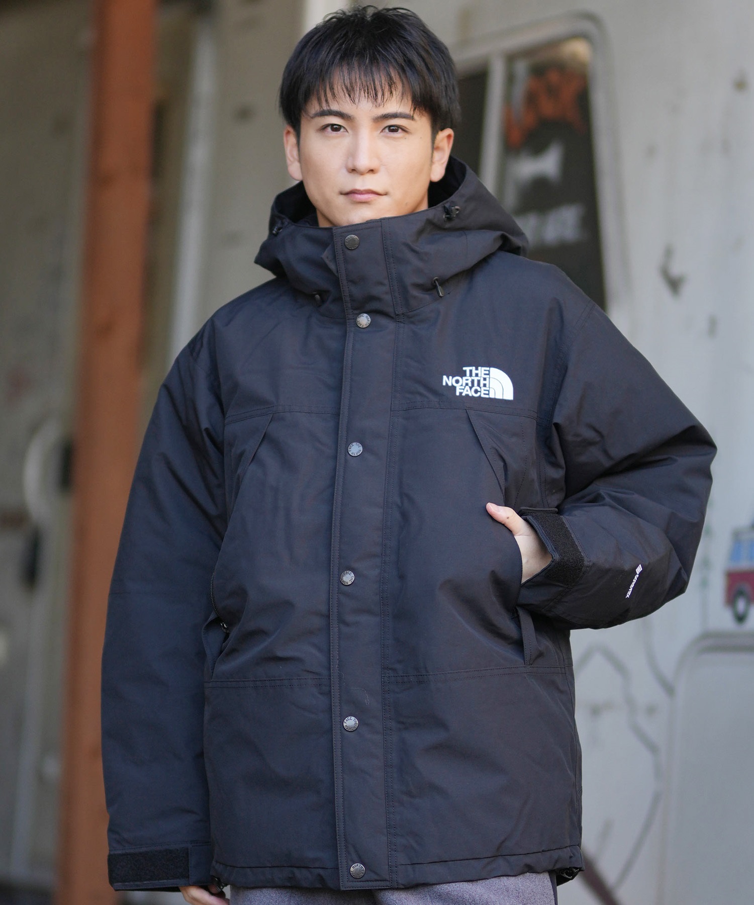 THE NORTH FACE ザ・ノース・フェイス ダウン ジャケット メンズ 防水