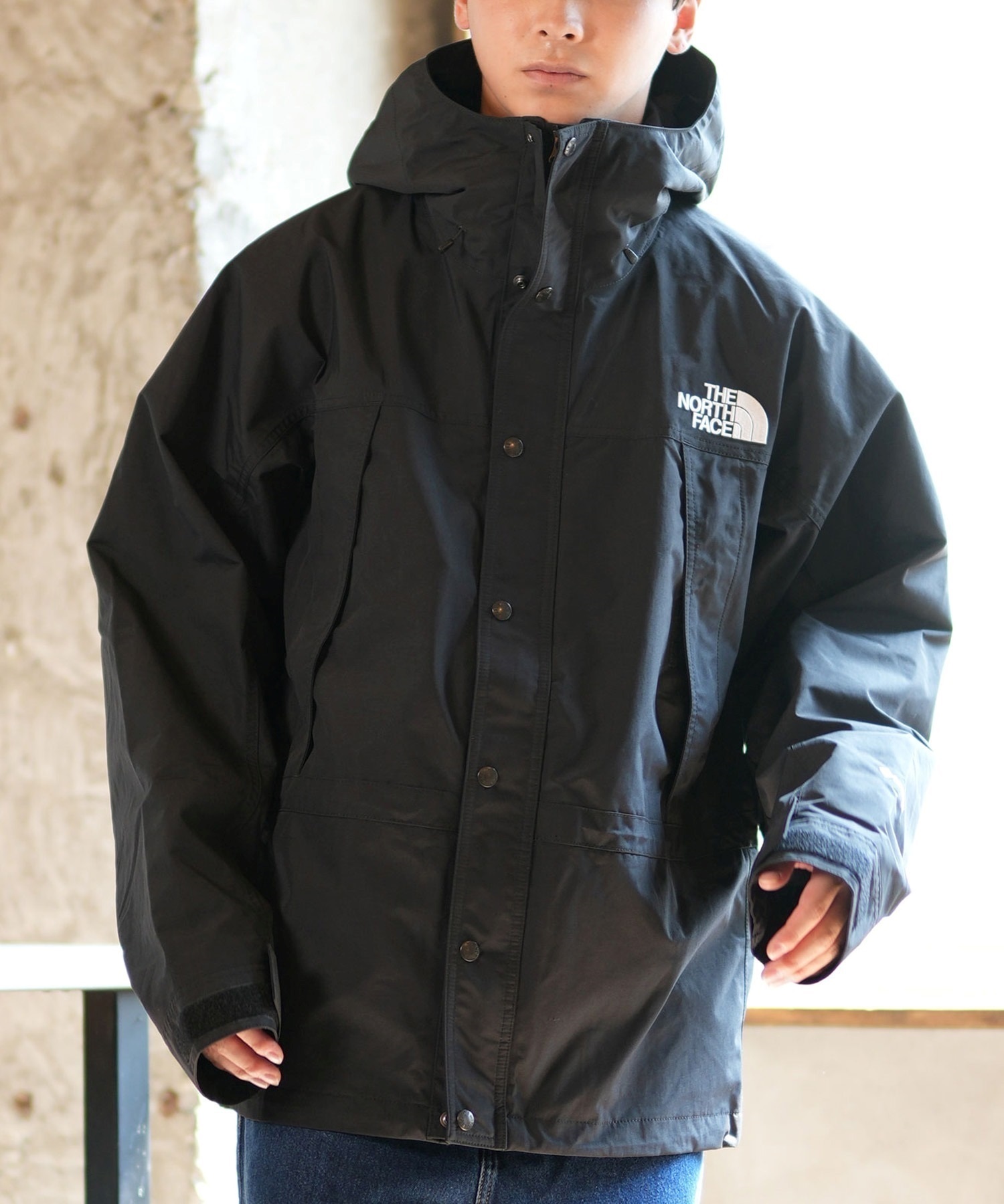 THE NORTH FACE ノースフェイス アウター メンズ 防水 防風 MOUNTAIN