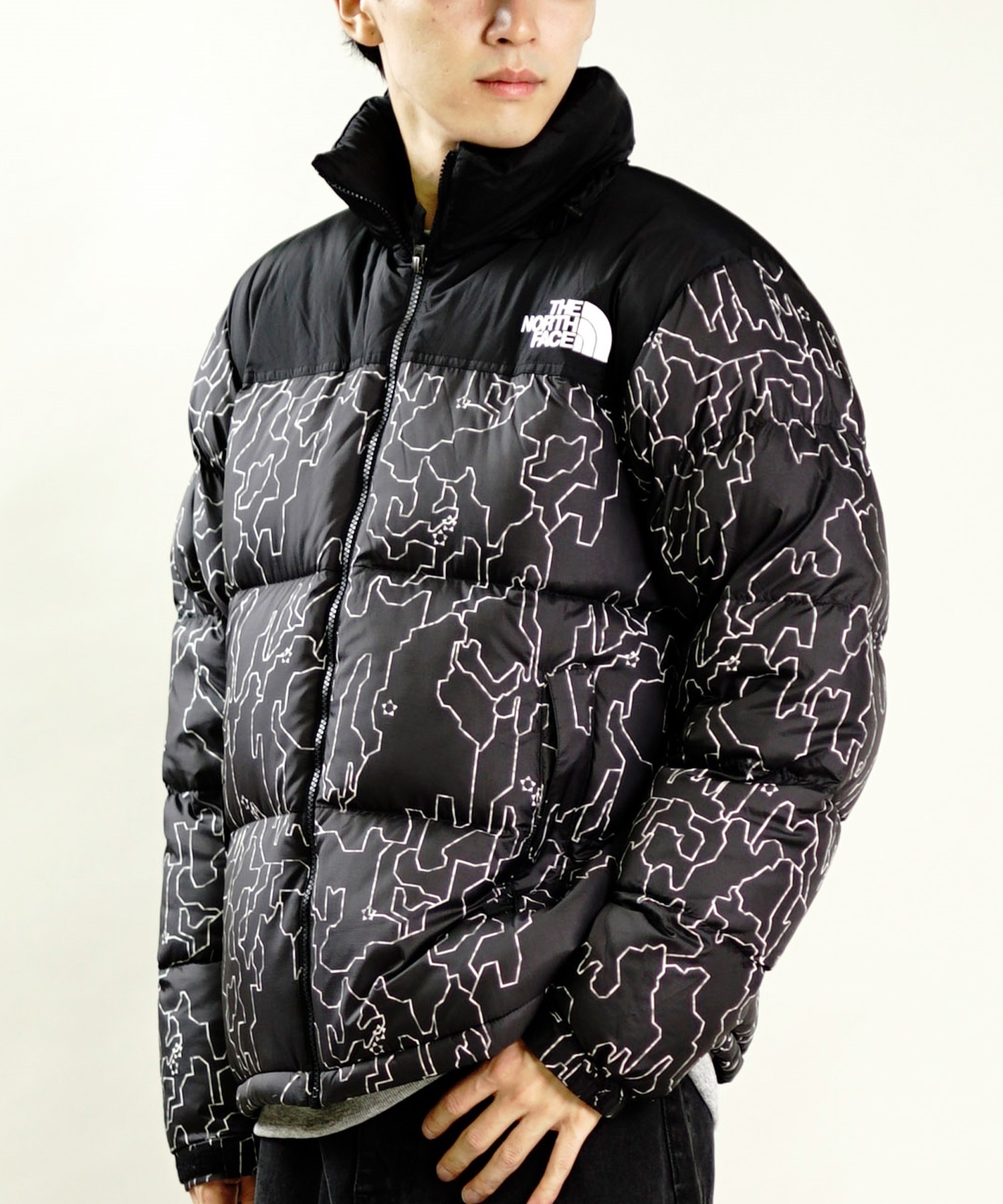 THE NORTH FACE ザ・ノース・フェイス メンズ ジャケット Novelty