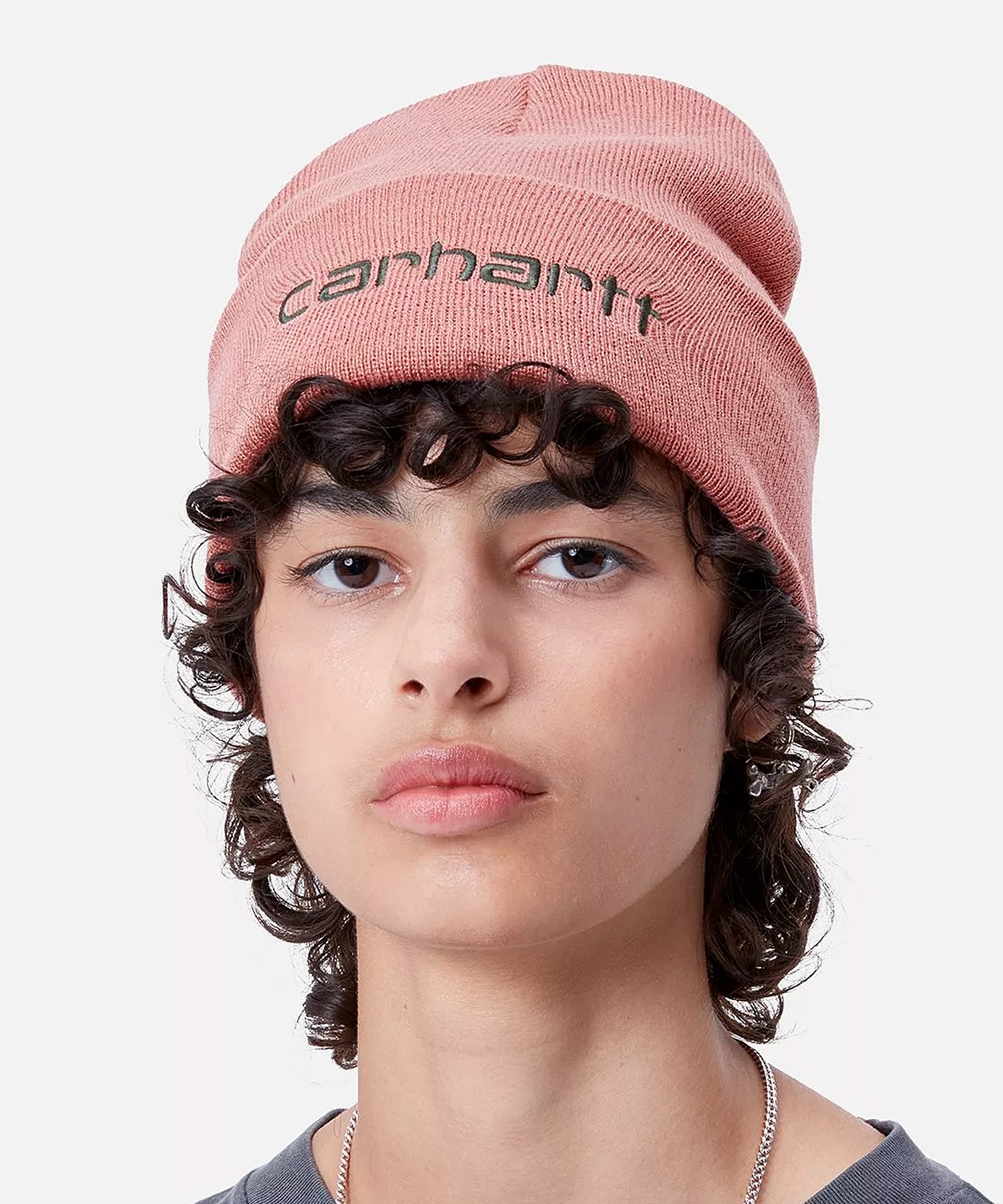 Carhartt WIP カーハートダブリューアイピー ビーニー 帽子 スクリプト