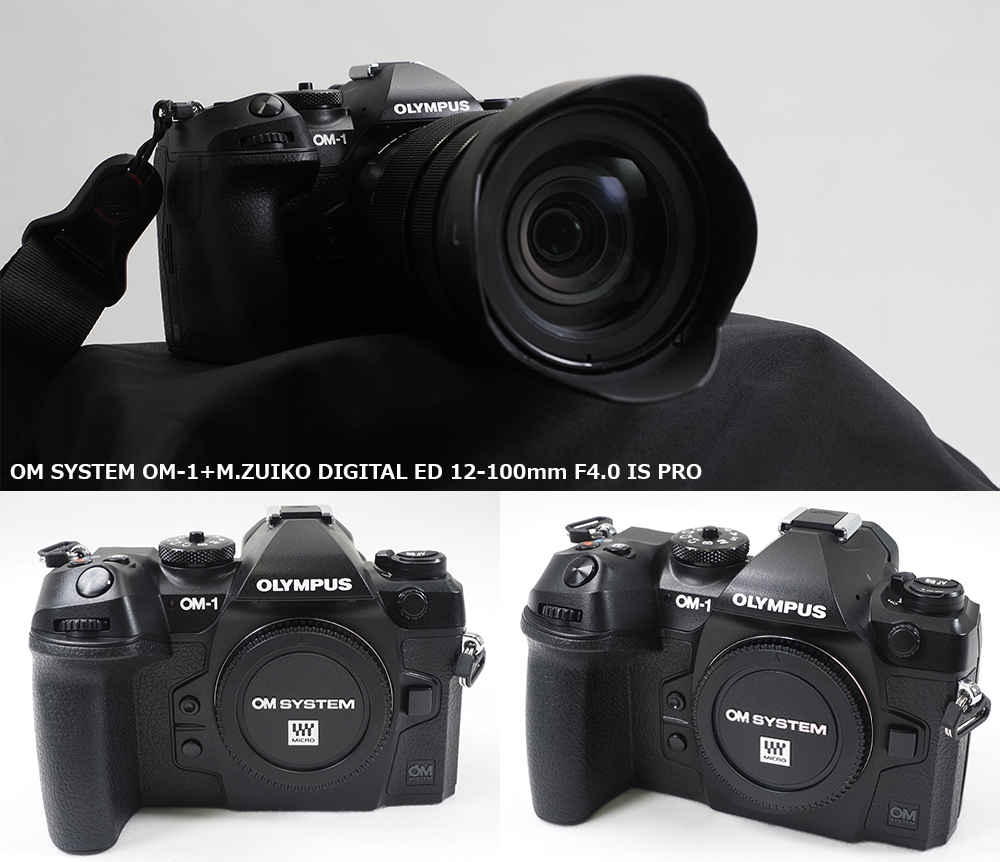OM SYSTEM OM-1 ミラーレスカメラ 実写レビュー！1/3ページ目