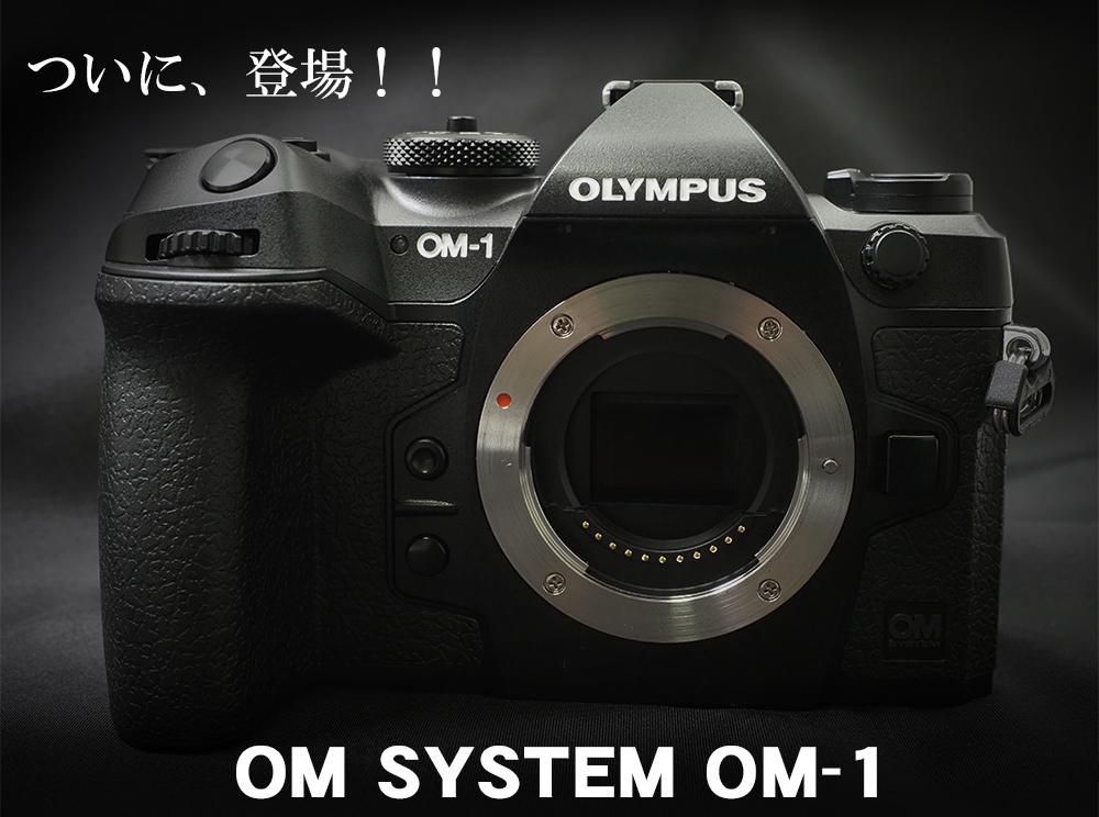 OM SYSTEM OM-1 ミラーレスカメラ 実写レビュー！1/3ページ目