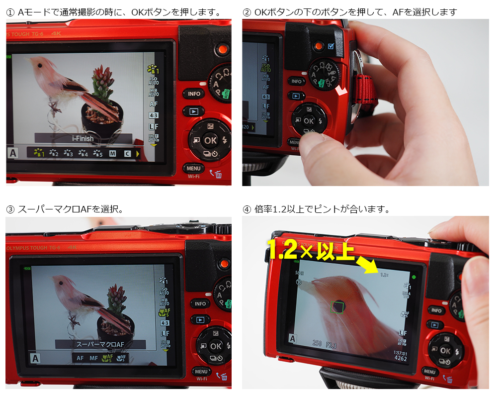 夏の自由研究テーマはこれで決まり！タフカメラ OLYMPUS Tough TG-6で