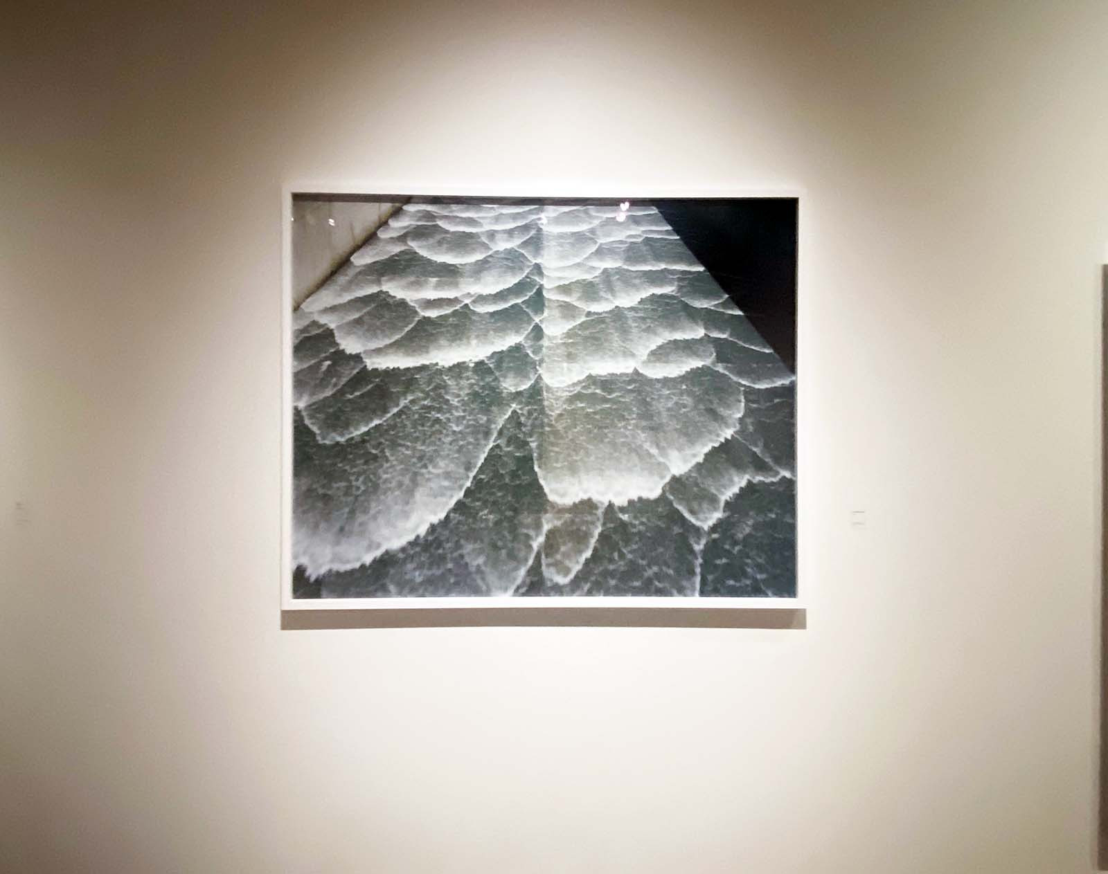 写真と絵画ーセザンヌより 柴田敏雄と鈴木理策 | レポート | アイエム