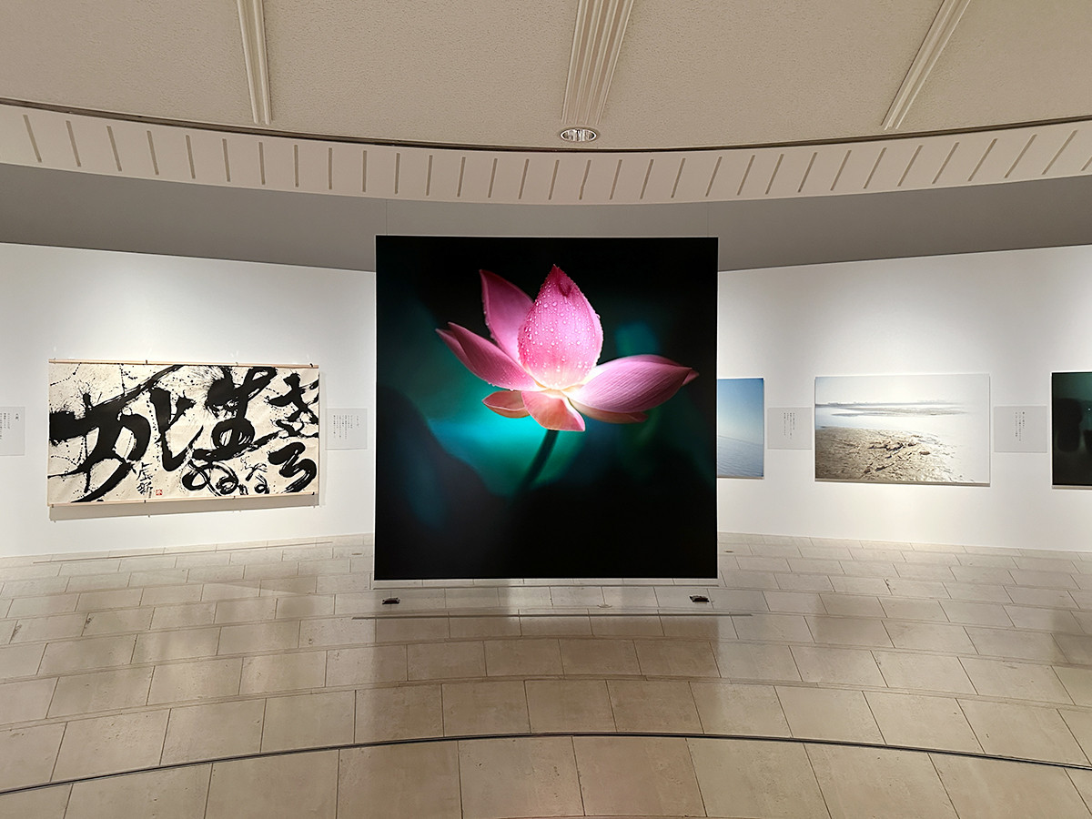 祈り・藤原新也 | レポート | アイエム［インターネットミュージアム］