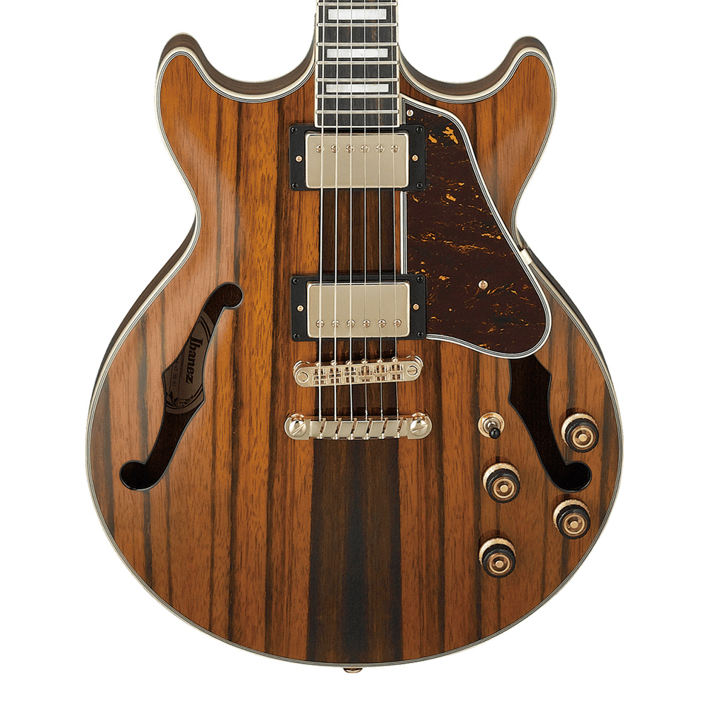 Ibanez AM Artcore Expressionist AM93ME-NT (Natural)｜ミュージック