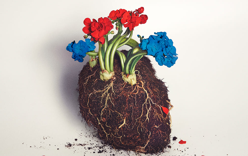 星野源、ニューアルバム「POP VIRUS」12/19リリース&2019年5大ドーム