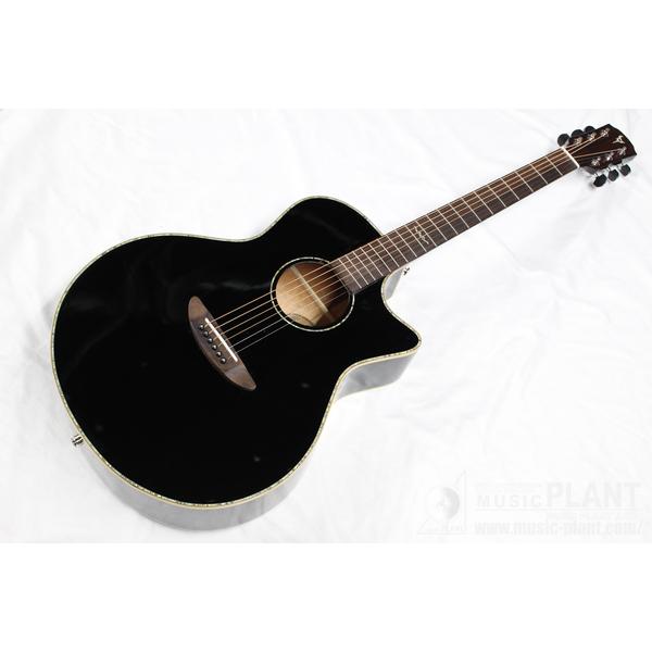 Dream Comes True (DCT) 全商品一覧 | MUSIC PLANT WEBSHOP