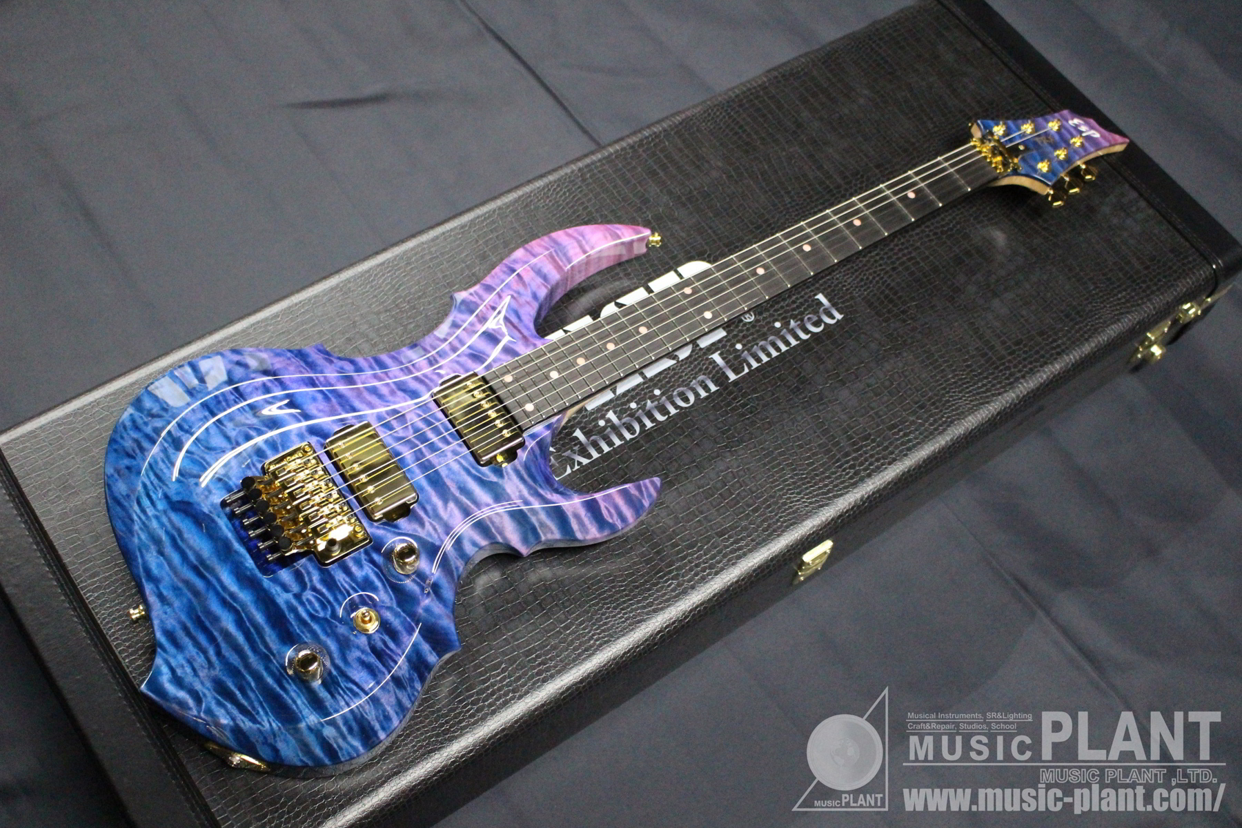 ESP Exhibition Limitedシリーズ エレキギター2017 Exhibition Limited