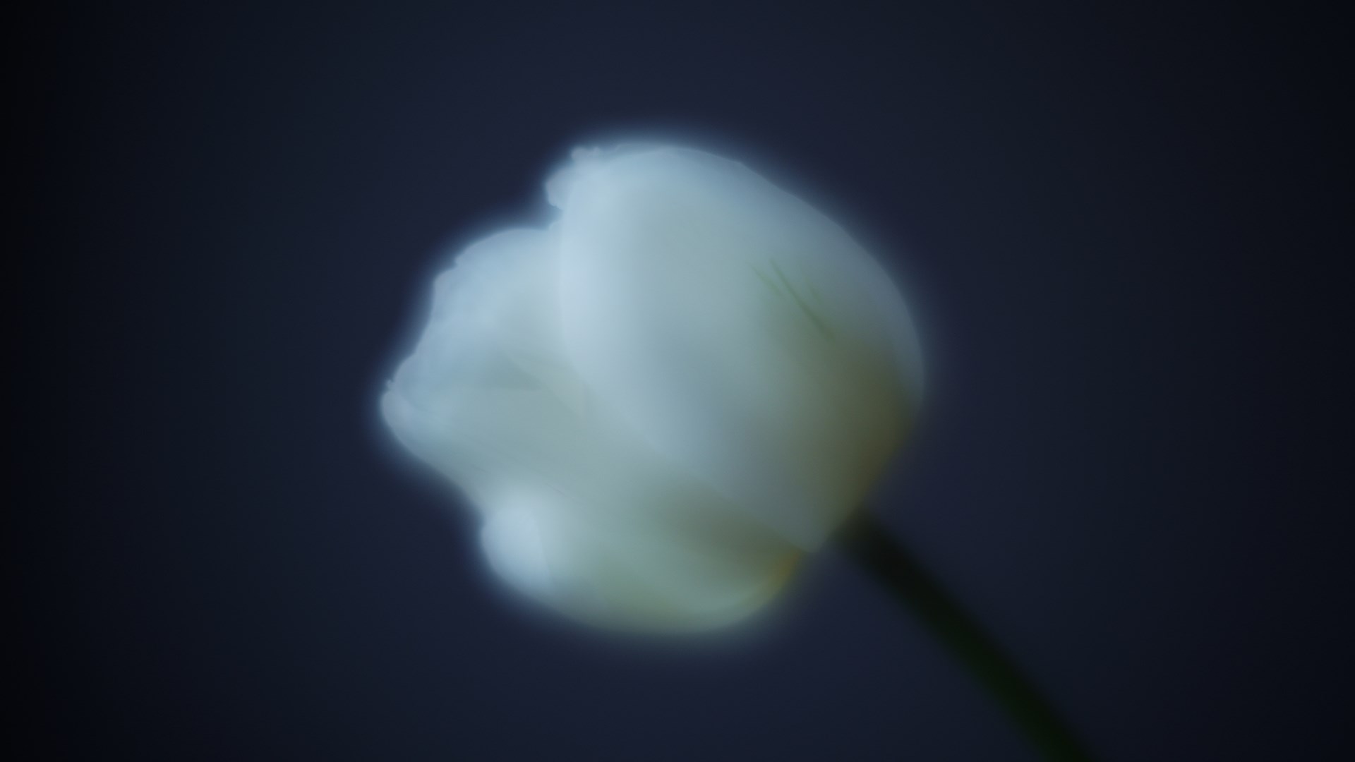 8月-10月、事業構想学部卒業生の長谷川尚子作品展「UNCERTAINTY/ゆらぎ