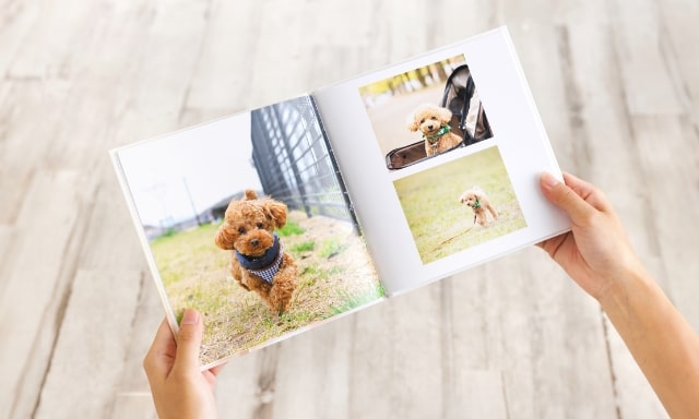 DX（ハードカバータイプ）| 高品質なフォトブック・写真アルバムを作成