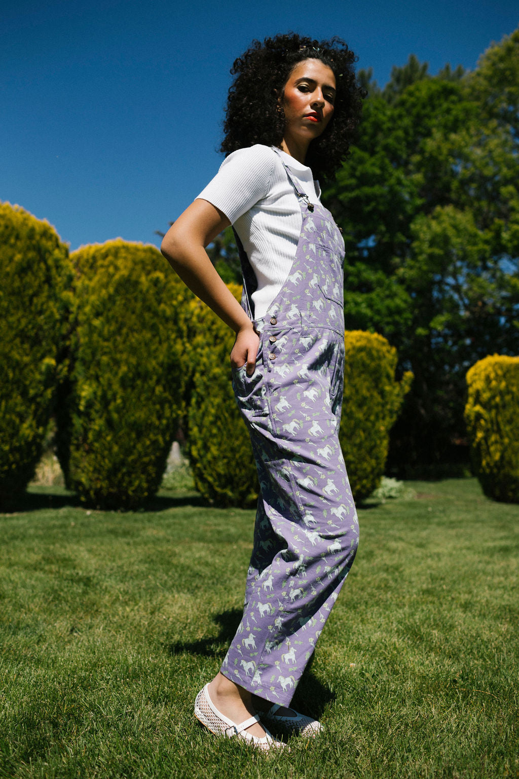 Lavender Lila Overalls | Floral Horses – My Little Belleville