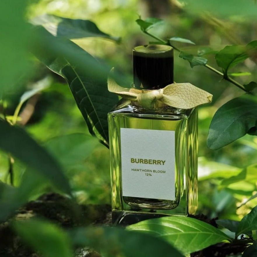 Shop Burberry Bespoke Collection Hawthorn Bloom 12% EDP in Qatar