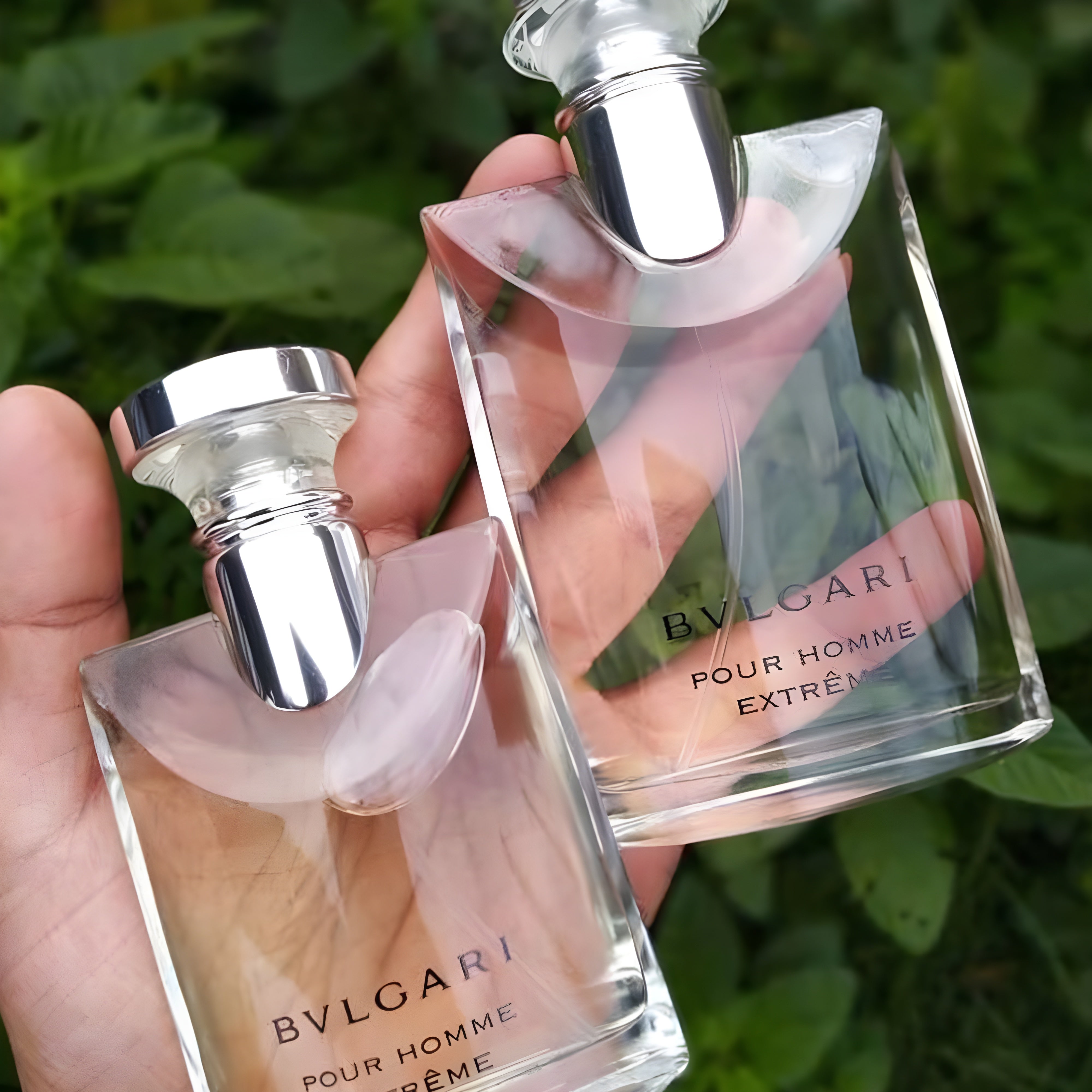 Shop Bvlgari Pour Homme Extreme EDT in Australia