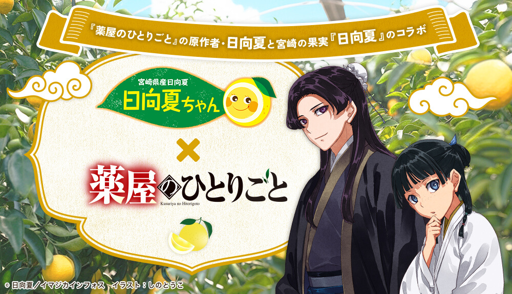 JAみやざき園芸販売部 | 宮崎県内で生産された「野菜」「果物」「花卉