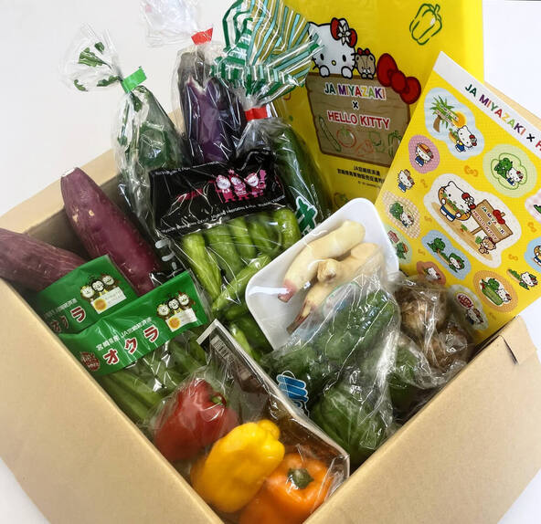 みやざき夏野菜セット」の販売受付を開始しました♪（終了しました