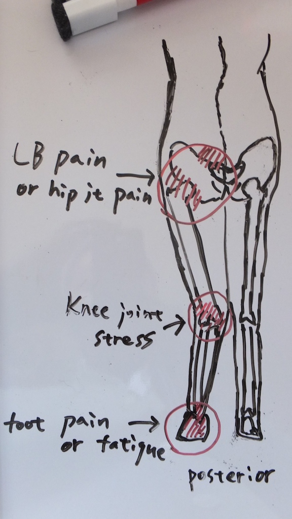膝の痛み | 長岡の整体「長岡ヘルスケアプラクティス」
