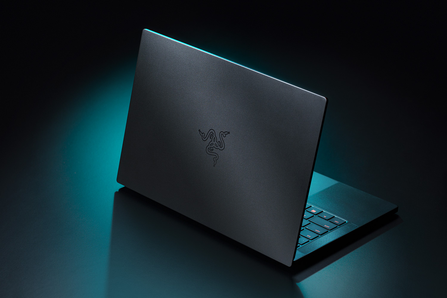 The 2019 Razer Blade Stealth series was a huge mess. The 2020