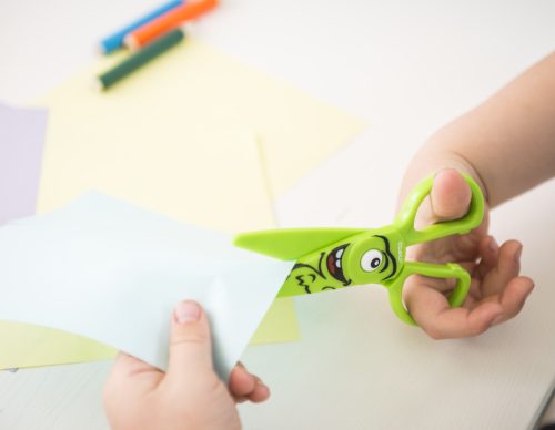 DAHLE 54678 | Novus Dahle