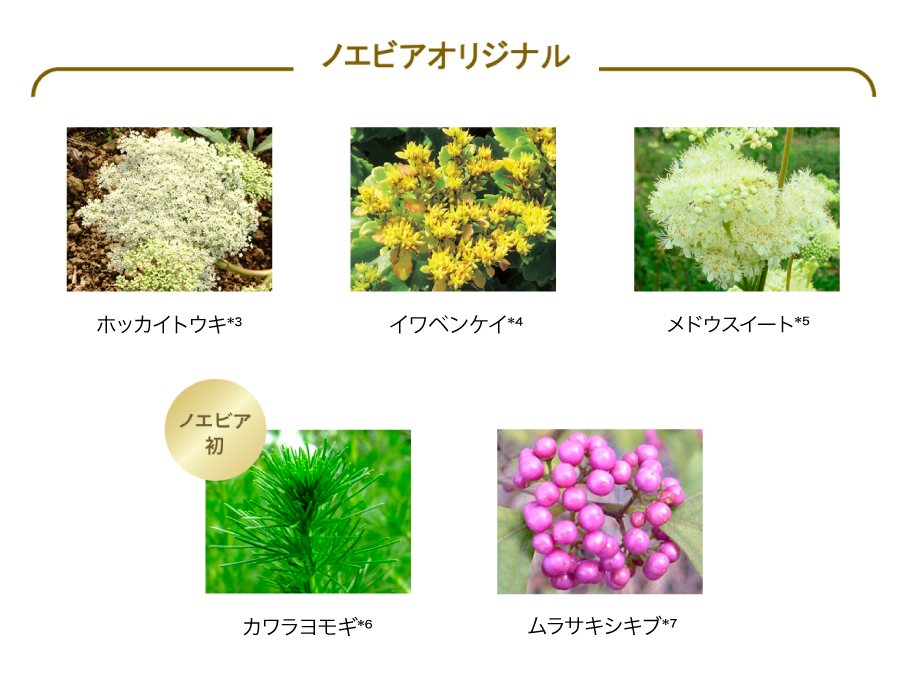 ゴールデンシルクエキス配合。ひとつ上の艶やかでなめらかな肌へと導く