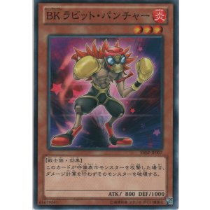 CNo.96 ブラック・ストーム【ホログラフィックレア】＞カード