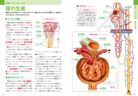 史上最強カラー図解 プロが教える人体のすべてがわかる本 | ナツメ社