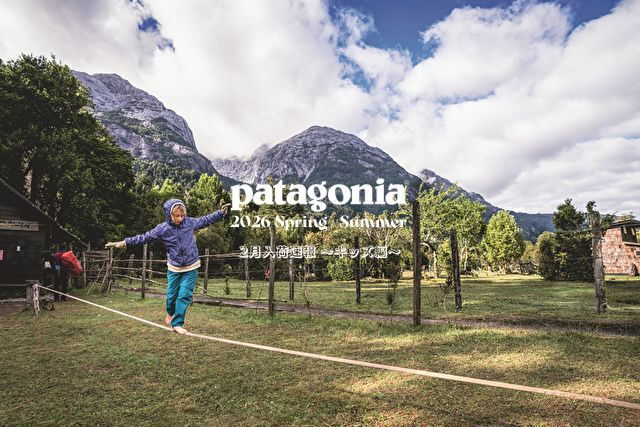 デプス(Deps) サイドワインダー HGC-66XF ヴェノムファング 10th LTD